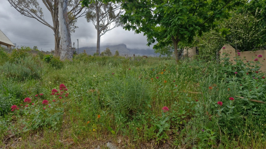 Commercial Property for Sale in Villiersdorp Western Cape